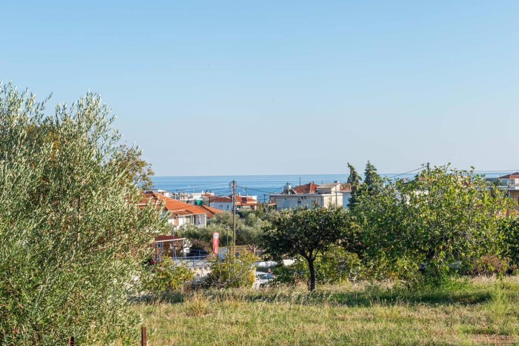 Όμορφο Παραθασυγκρότημα Ενοικιαζόμενων Καταλυμάτων Ως Ολόκληρος Χώρος - Chrani, Ελλάδαλάσσιο Διαμέρισμα Esterno foto